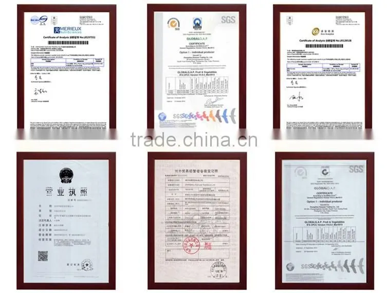 2015 Fresh GuanXi honey pomelo