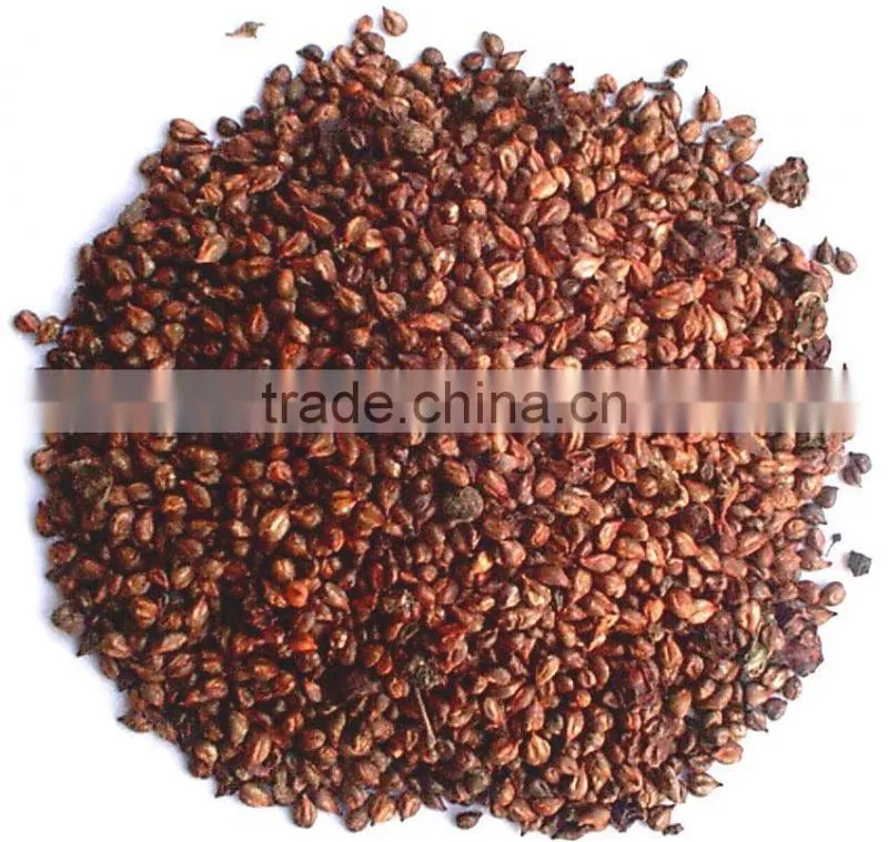 Manufactory supplier of 95% OPC Grape Seed Extract