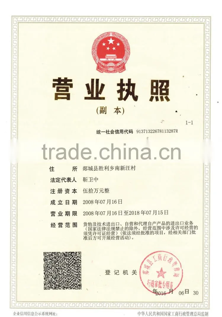 Shengya Brand sy3000 Hydraulic curbing stone machine automatic road curb machinery price