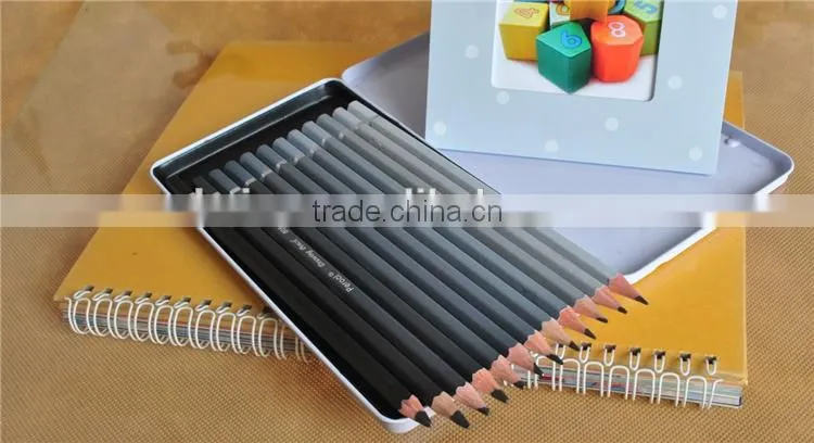 Hexagon charcoal pencil set charcoal pencils sketch drawing