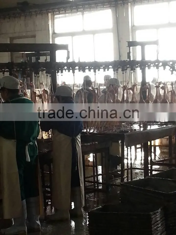 chicken broiler slaughtering line for 500bph/1000bph and 2000bph