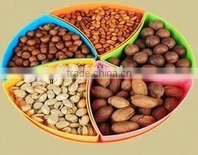 automatic mustard seed oil press machine/mustard seed oil extraction machine