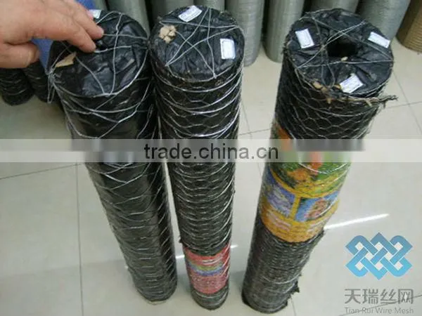 pvc coated/galvanized hexagonal wire mesh