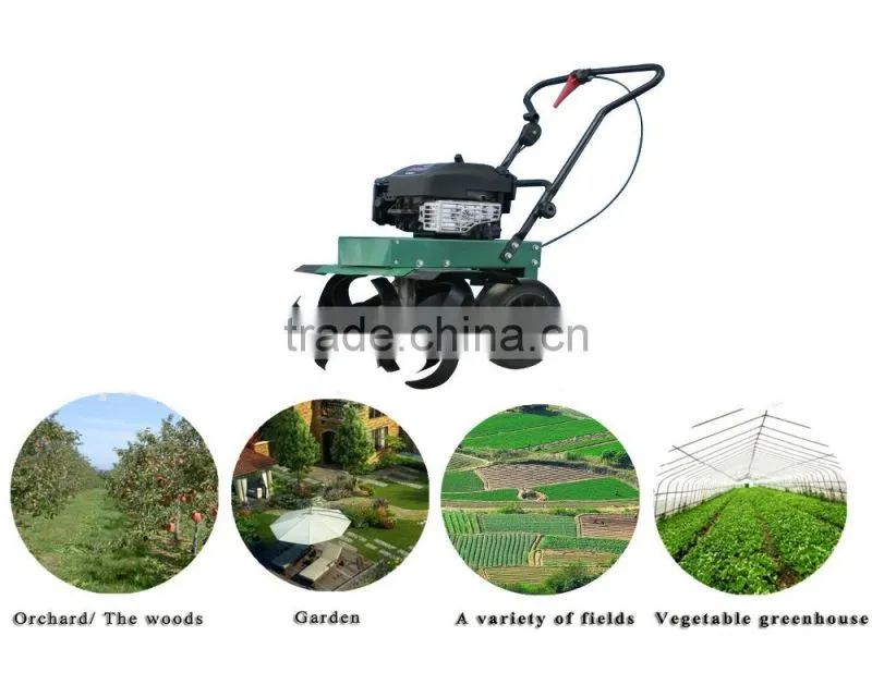 Economic 5.5Hp walking tractor /mini tiller/Rotary tiller for garden and farm RT55