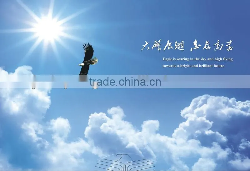 500kg corn snack food processing manufacturing line/plant in Vietnam