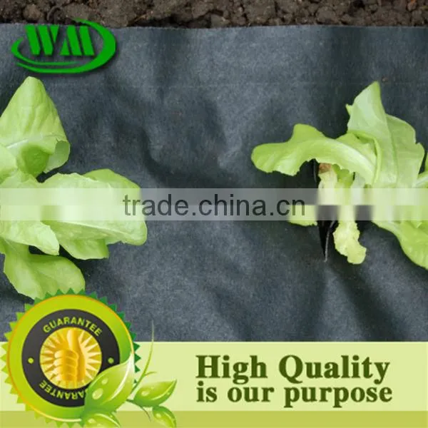 control cover Weed Mats