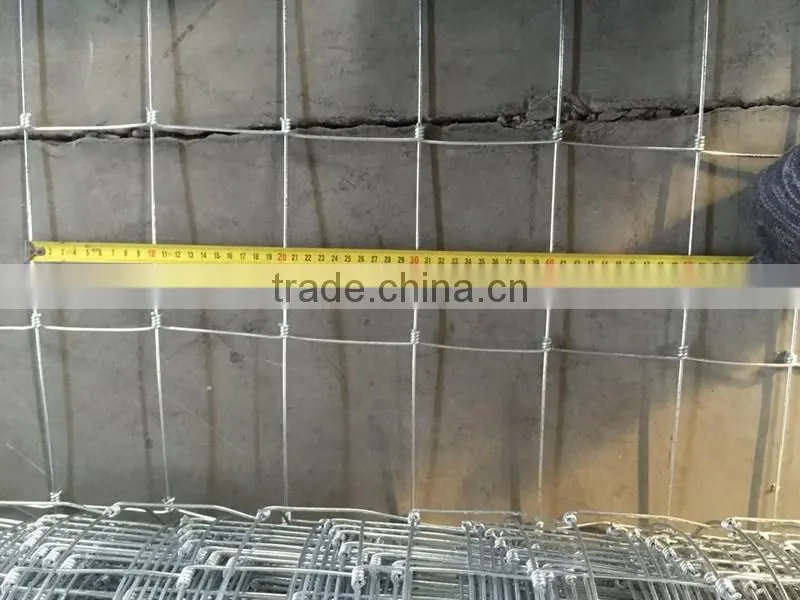 Italian big Lowes galvanized cattle panels livestock fence