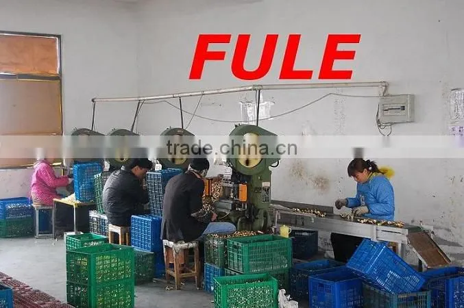 Washing machine hose coupling