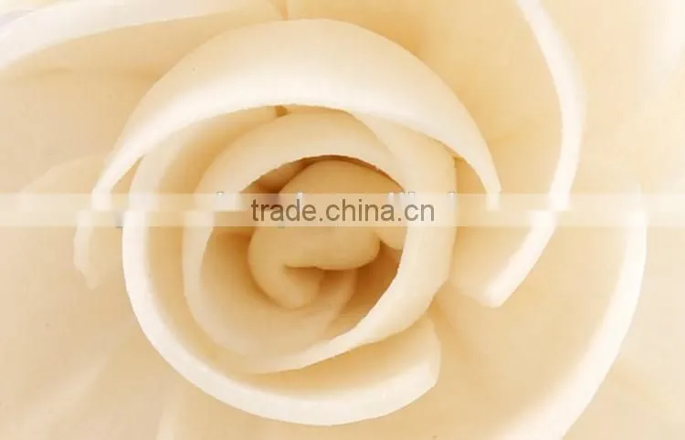 sola flower