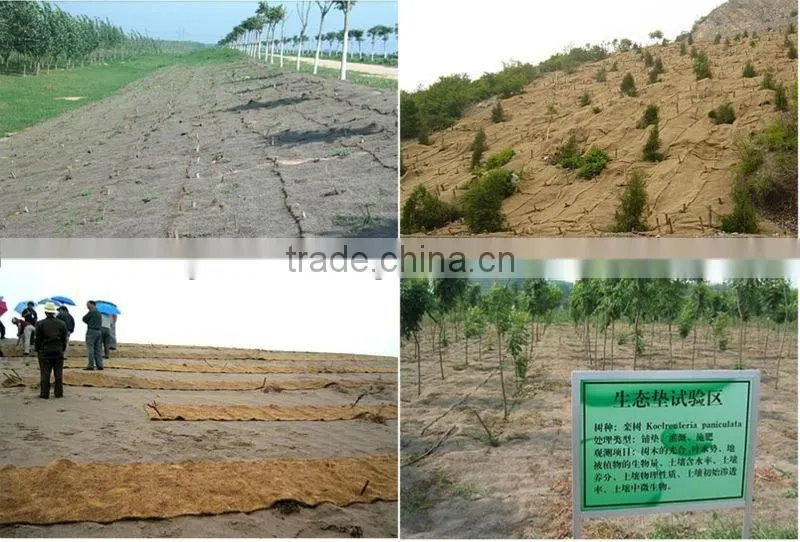 Agriculture Mat