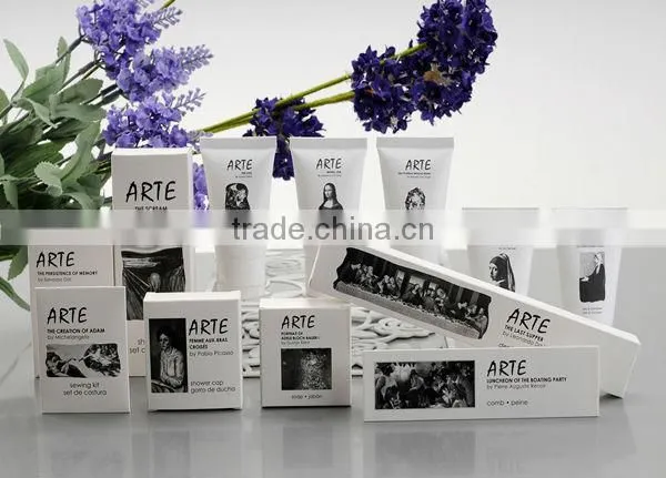 Best quality hotel disposable star accessories set
