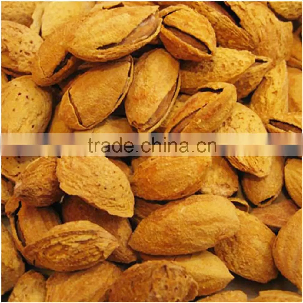 high quality chinese almond