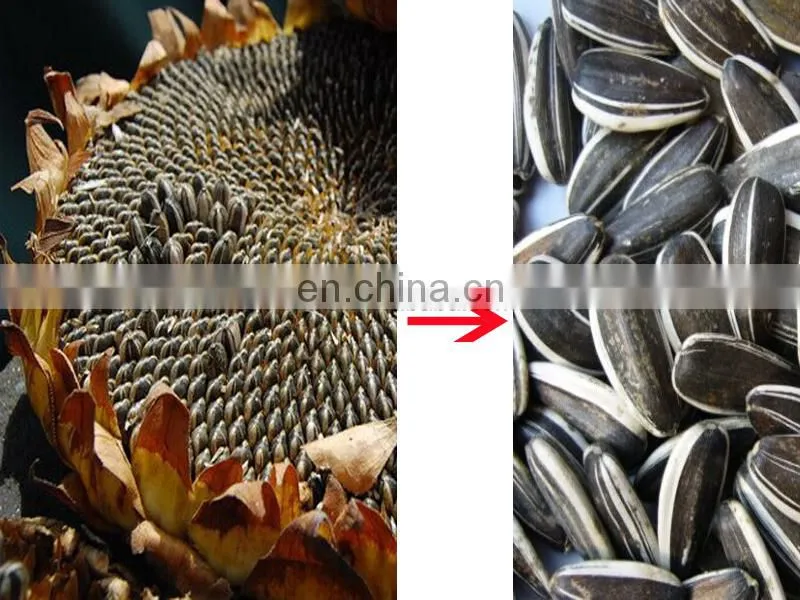 sunflower dehuller machine/sunflower thresher/sunflower seeds separating equipment