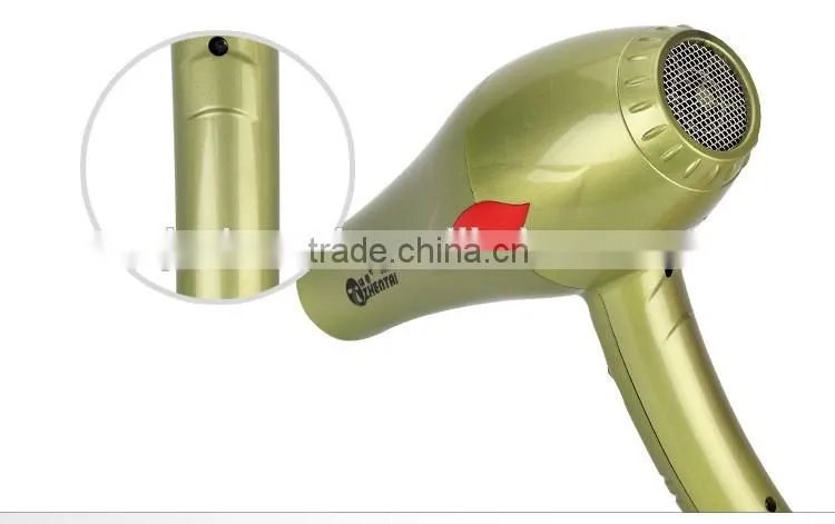 Ionic Professional Hair Dryer, 1200W to 2000W