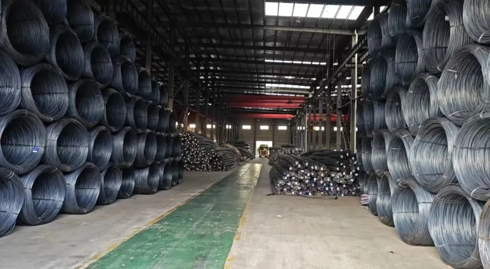 钢筋 (10)