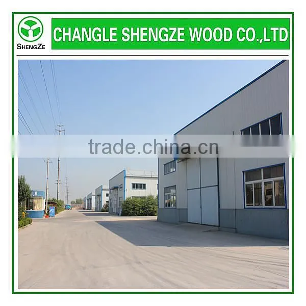 2015 China wholesale decorative wood veneer MDF door skin panels