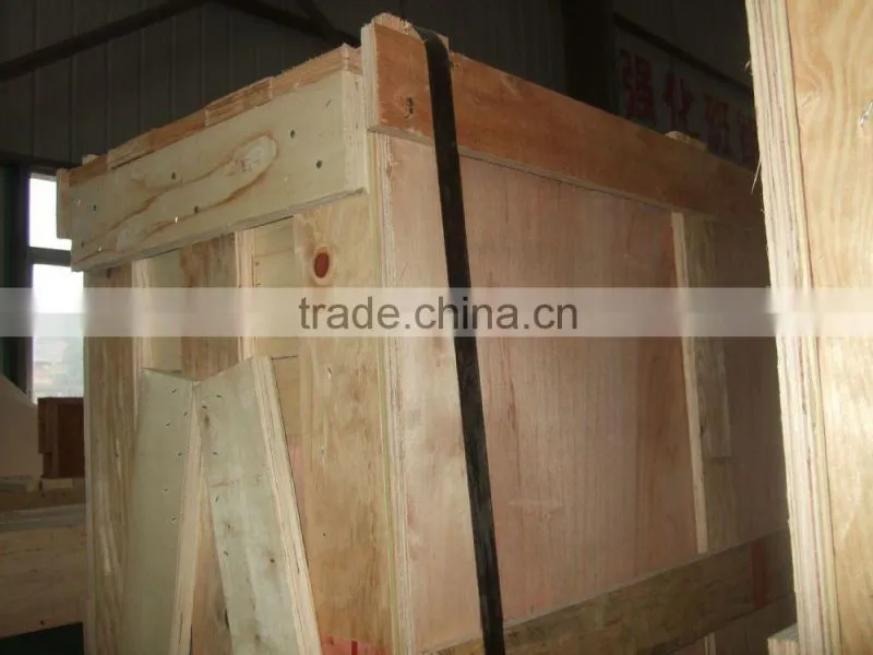 Guangzhou Sky Tiger Supply 5mm clear tempered glass with the holes middle
