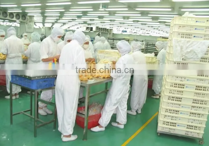 ESD Garment Clothing Clean Room for Pharmaceutical