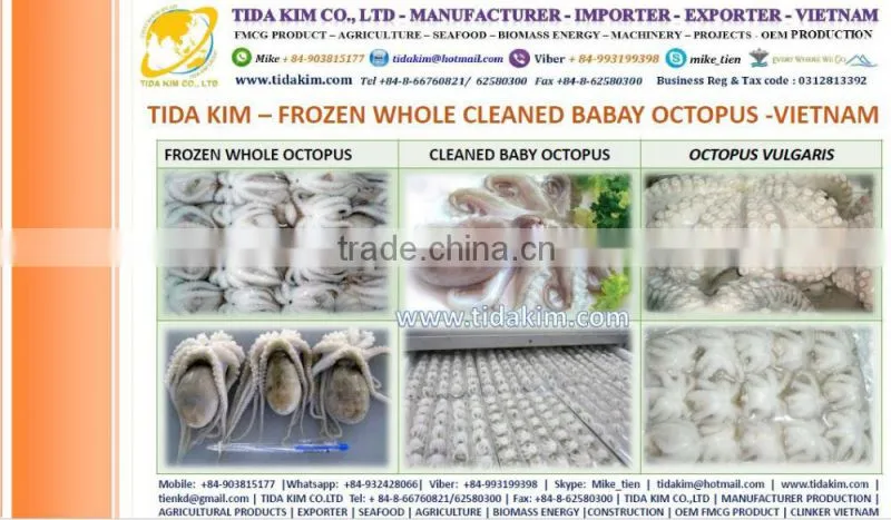 FROZEN WHOLE BABY OCTOPUS VULGARIS CLEANED BABAY OCTOPUS SHRIMP TIDA KIM LOPSTER VIETNAM FISH FILLETS BASA FRESH ALIVE NATURAL