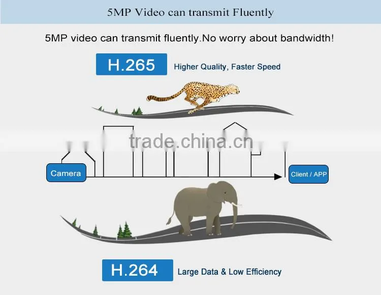 New products 5mp exmor digital ip smart cameras ip cam app