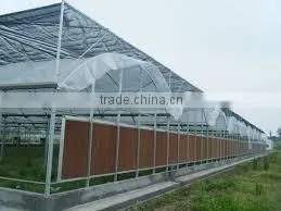 200 micron greenhouse film for agriculture