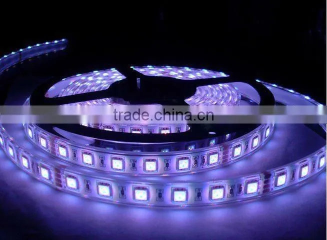 New arrival!!! SMD5050 High brightness Led Strip Light