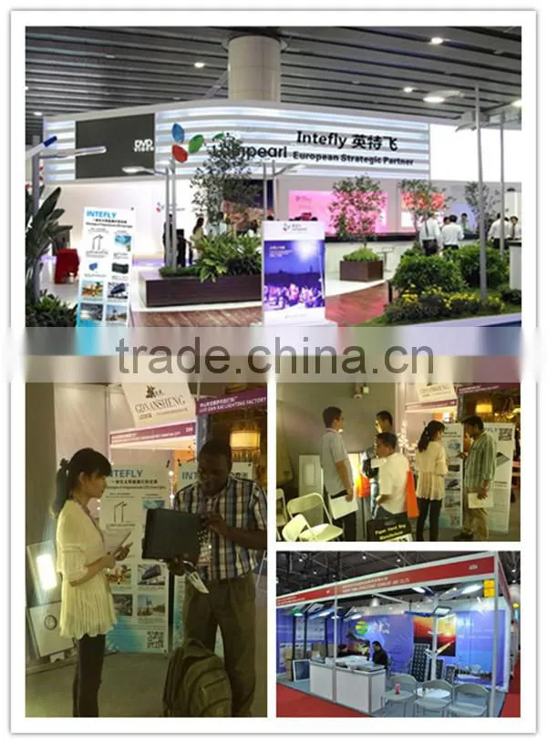 reliable, non-polluting power solar integrated solar street light 40W
