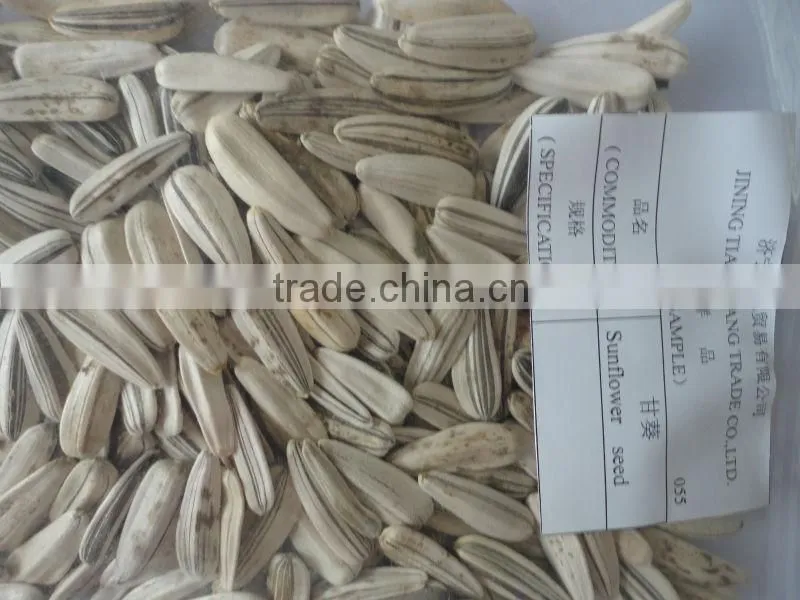new crop sunflower seeds