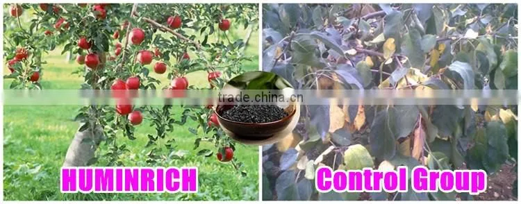 FAQ 16--How To Use The Potassium Humate Fulvate Fertilizer As A Rooting Agent?