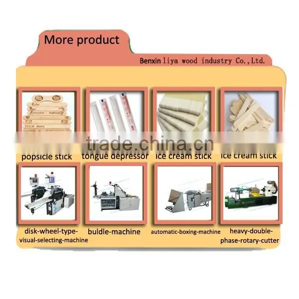 ICE CREAM STICKS