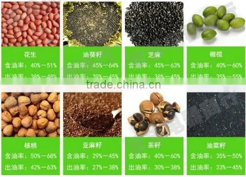 6YL-120 peanut oil extraction machine