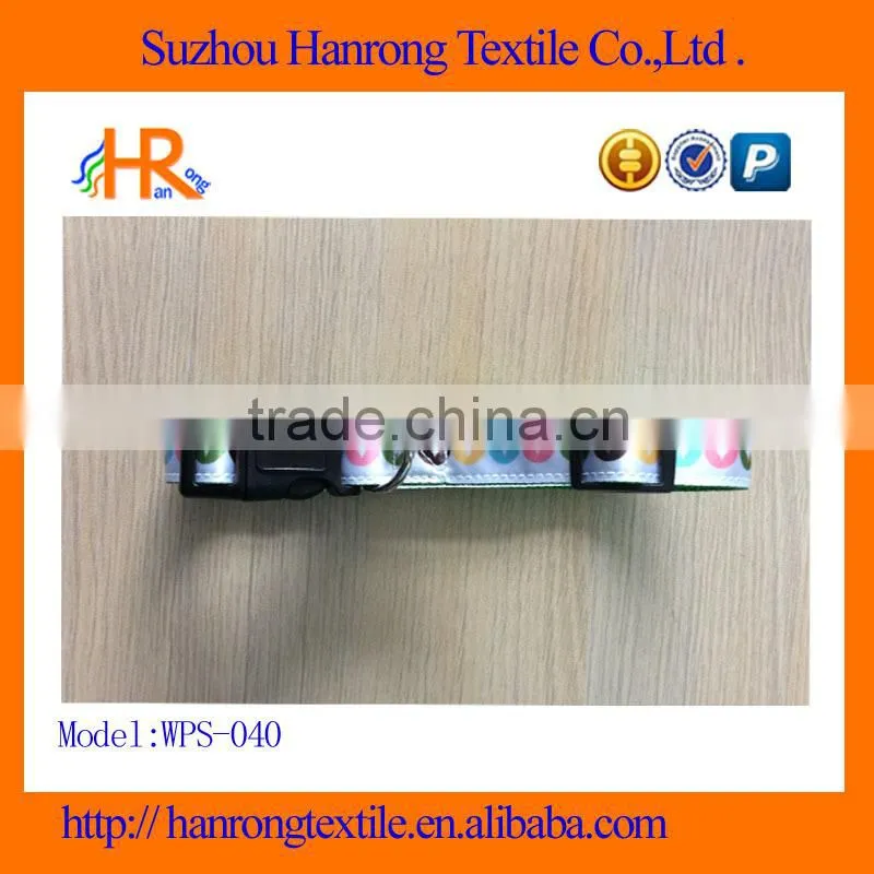 Dog leash and collar