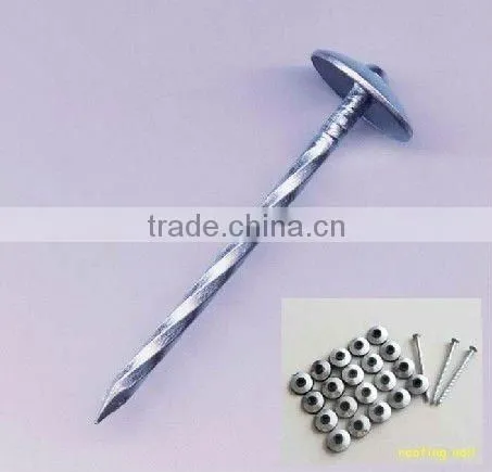 9BWG 2" Twist Umbrella Roofing nail