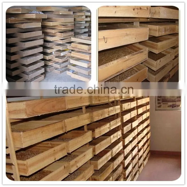 selling dried mealworms for sale free shipping