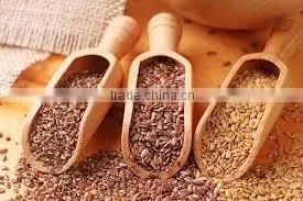 LINSEED OIL SEED