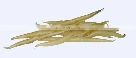 High Quality Dried Fish Maws from Bangladesh