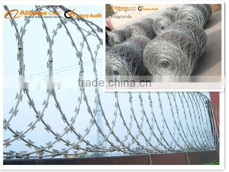 12 gauge stranded wire