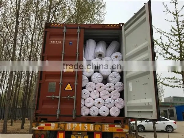 PP monofilament 3 strand twisted rope/Tiger rope