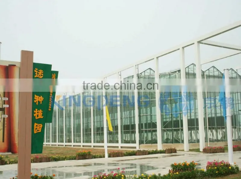 Ultra clear float glass greenhouse (ISO9001:2000)