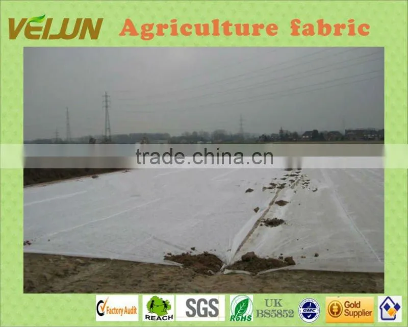 Guangdong Agriculture fabric with 100%PP and 3% anti-UV