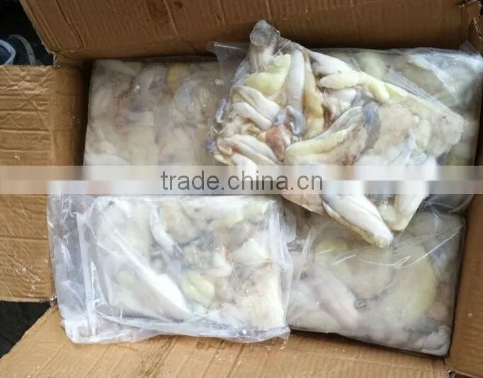 Frozen Squid Roe