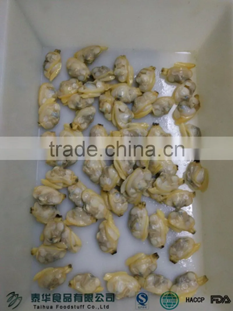 Good quality seafood frozen clam meat on sale