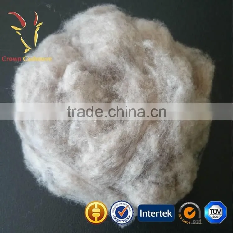 Three colors Clean Kashmir Cashmere Fiber Price