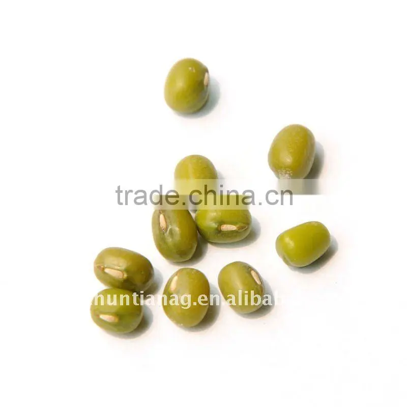 organic yellow mung bean