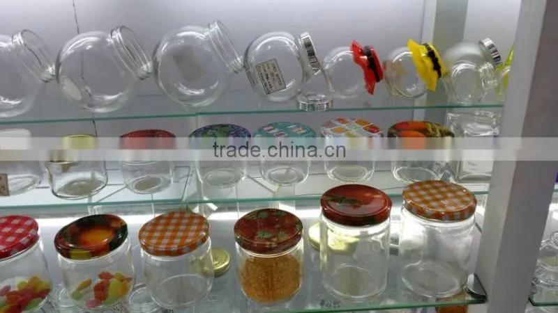 transparent square glass tissue culture vessel jar with plant
