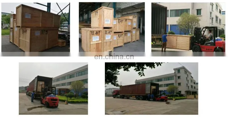 High Quality Fresh Fruit Prune Cherry Automatic Horizontal Wrapper Pillow Packing Machine Flow Wrapping Machine