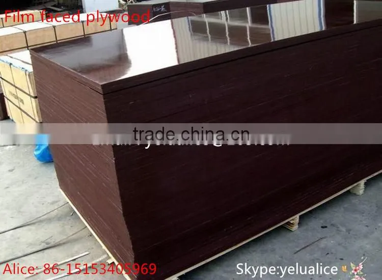 finger-joint marine plywood /film faced plywood