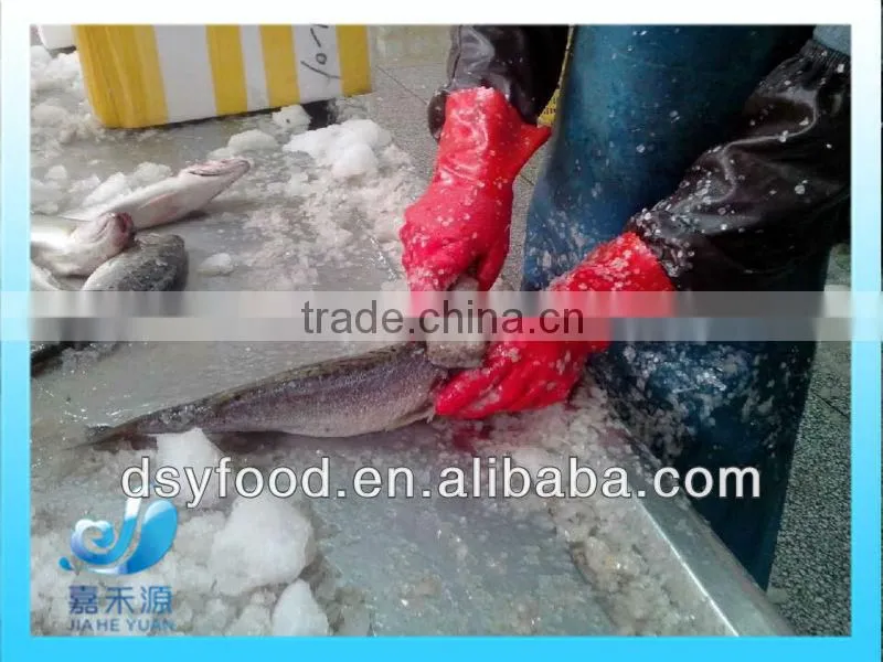 Frozen Seabass