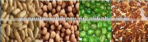 Peanut fryer