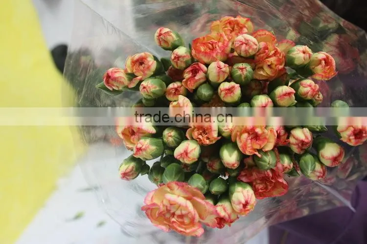Alibaba china promotional light short branch carnation